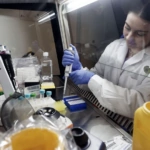 Células madre cultivadas en el espacio podrían revolucionar las bioterapias y la cura de enfermedades como el cáncer